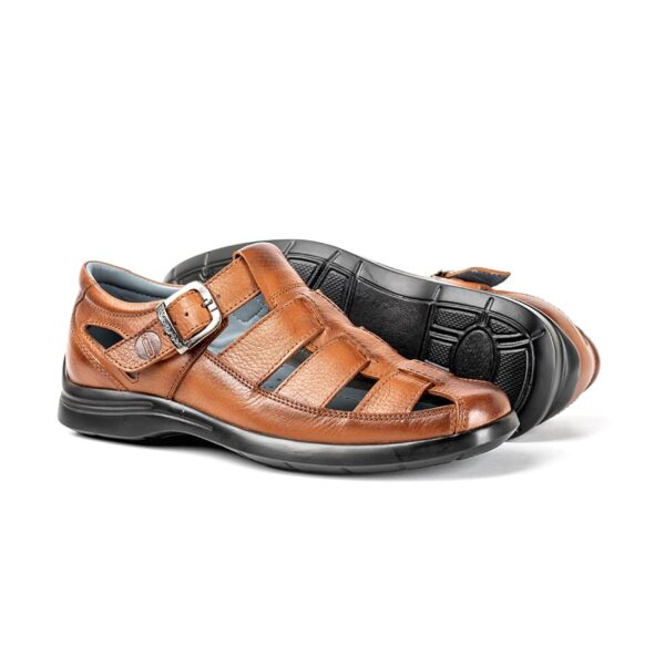 SD895 - Imagen 3