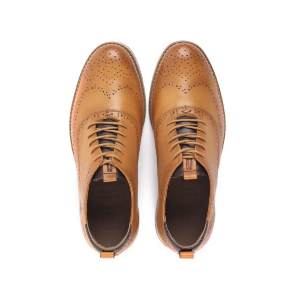 CS-1165 - Imagen 2