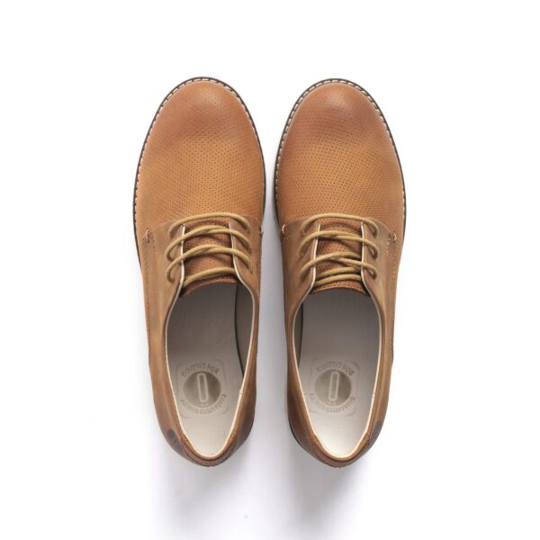 UB-1227 - Imagen 4